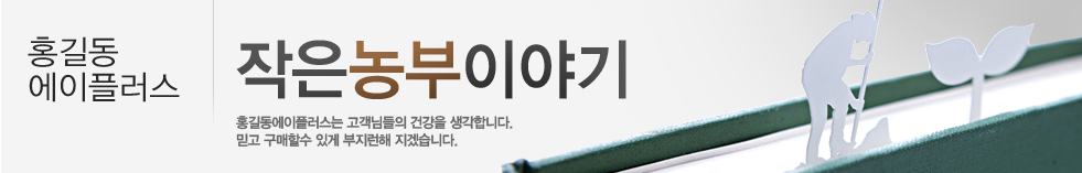 홍길동에이플러스 지금고향은? 상단이미지