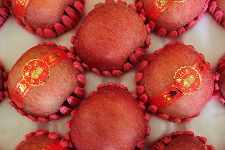 제품간략이미지