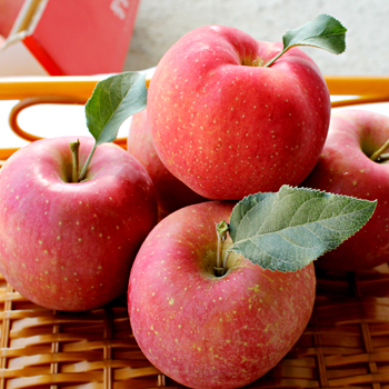 제품간략이미지